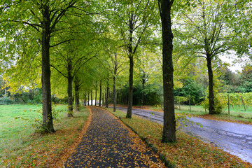 Singen (Hohentwiel) im Herbst 