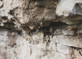 Background of a very old dolomite outcrop