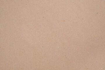 Fototapeta na wymiar Kraft paper: Brown isolated background (blank mockup)