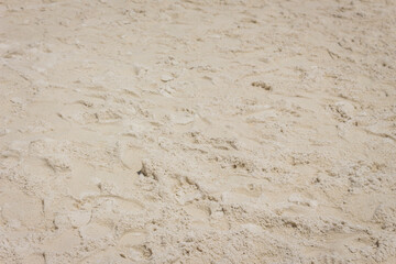 Sandy beach for background and texture