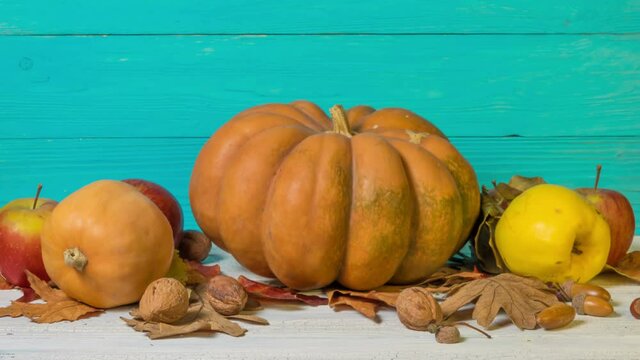 Beautiful Halloween Still Life with Decorative Pumpkins, Walnuts, Acorns and Autumn Leaves. Stop Motion. 4K.
