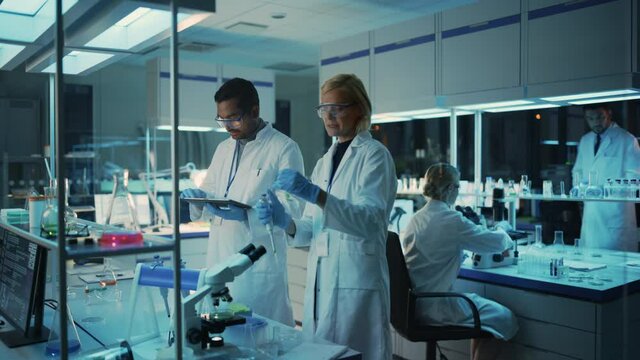 Female and Male Medical Research Scientists Have a Conversation While Conducting Experiments in Sample Test Tubes, Writing Analysis Results on a Tablet Computer. Modern Biological Science Laboratory.