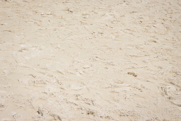 Sandy beach for background and texture