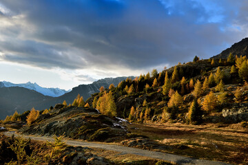 Colors of the autumn In Valmalenco valley