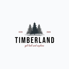 Evergreen pine tree vintage logo with two trees behind foggy weather emblem vector illustration design