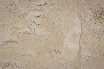 Footprint of shoe on dry mud