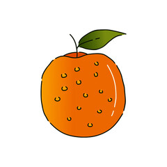 illustration of an orange