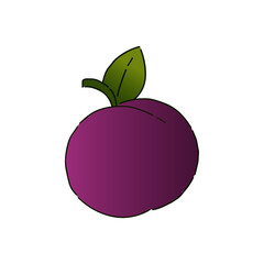 illustration of an plum fruit