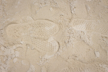 Sandy beach for background and texture