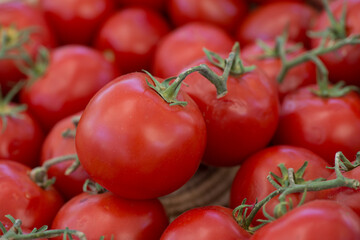 Cherry Tomatoes