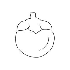 illustration of an mangosteen icon vector illustration