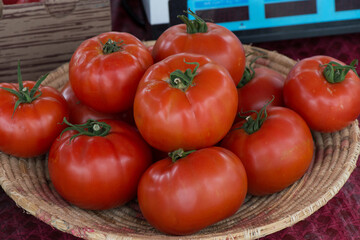 Red Tomatoes staged in a basket