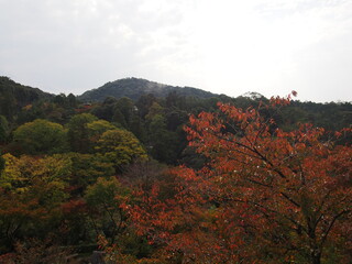 Kyoto at the beginning of the fall foliage season, Autumn leaves, Kiyomizu-dera Temple, Kyoto, Japan