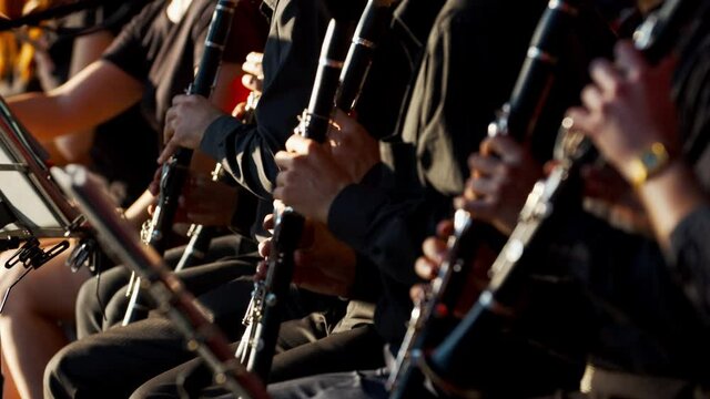 Clarinet players in orchestra are performing on stage, 4k