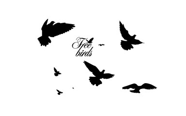 A flock of flying birds. Vector illustration