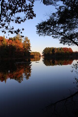 autumn trees reflected in water
