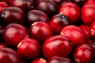 Cranberries, fresh red berries food background