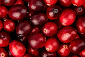 Cranberries, fresh red berries food background
