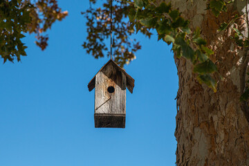 Birdhouse 2