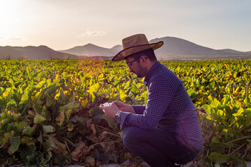 farmer in field