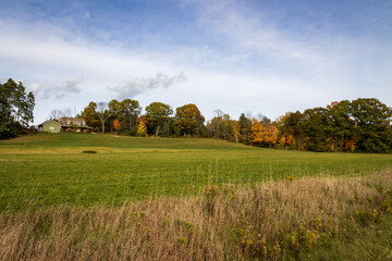 Fall Colours Northumberland Ontario