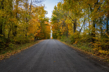 Fall Colours Northumberland Ontario