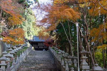 徳島県箸蔵寺