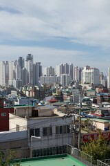 Fototapeta premium city skyline