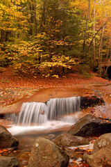 A waterfall surrounded by fall foliage