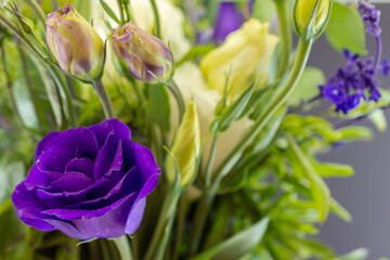 Lisianthus flower 5