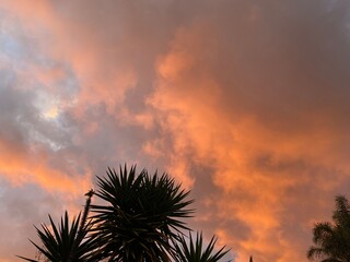 The sunset sky over Melbourne southern suburbs