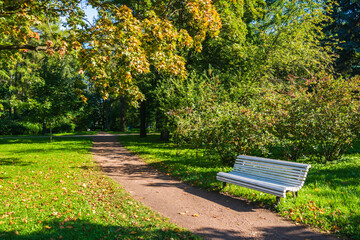 Green park, white bench in the corner.