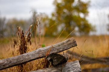 A Simple Wooden Fence With an Orange Field Behind It
