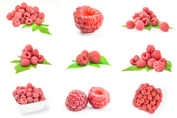 Collage of rubusberry isolated on a white background