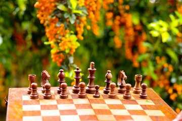chess pieces on the board