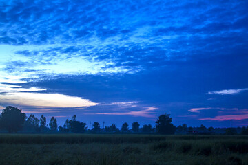 sunset over the forest