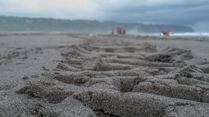 selective photography focus on wheel tracks in beach sand