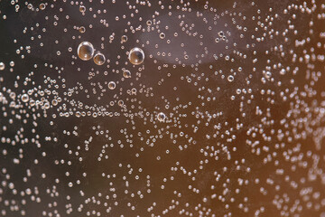 water drops on a glass