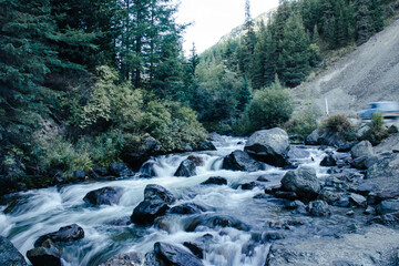 river in the forest