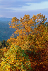 387-101 Autumn Mountain Color