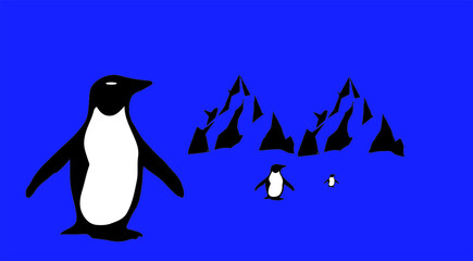 penquin vector illustration isolated on background