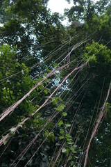 Beautiful rain on the tree