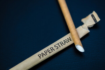 Close up of eco-friendly brown paper straw, environmental consciousness concept.