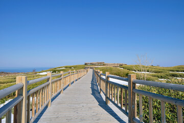 春の知床五湖高架木道（北海道・知床）
