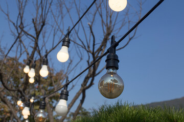 Decorative outdoor string lights hanging on tree in the garden.