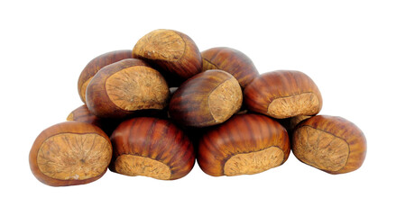 Group of uncooked Spanish chestnuts in shells isolated on a white background