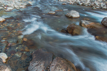 stream in the forest