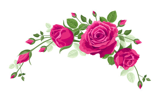 Garland of vine roses. Vector flower decoration for anniversary, cards, greetings. Valentine's day, mother's day. Ruby red, pink roses, hot pink flowers with leaves in a bouquet, frame, corner, wreath