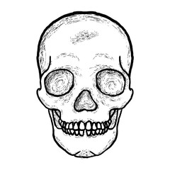 Skull 