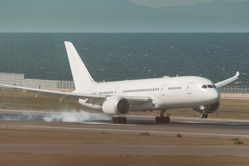 Fototapeta na wymiar white airplane landing in haze afternoon with ocean background